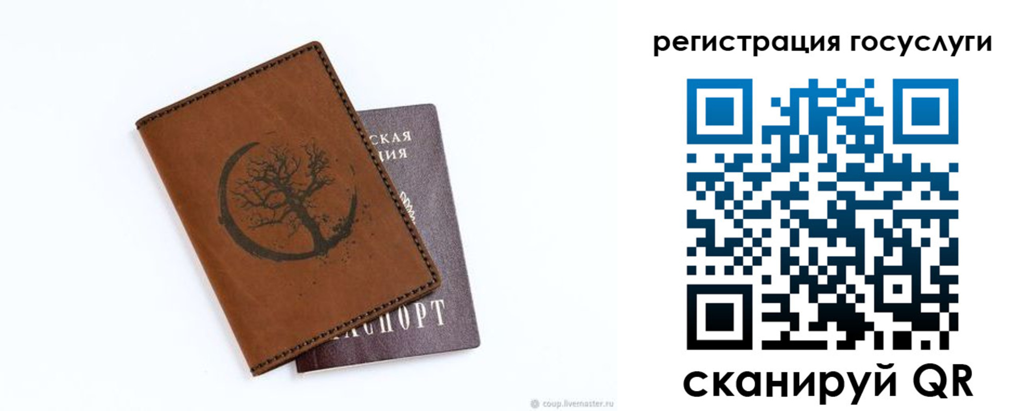 прописка для школы в Мончегорске